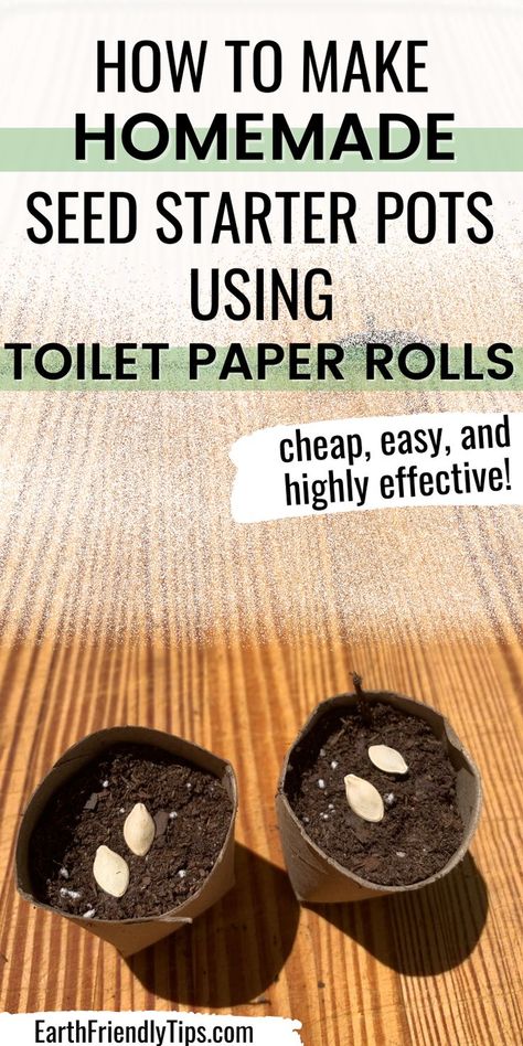 Eco Friendly Toilet, Minimalist Lifestyle Inspiration, Plants For Raised Beds, Vegetable Plants, Benefits Of Gardening, Seed Starter, Toilet Paper Rolls, Natural Parenting, Homemade Diy