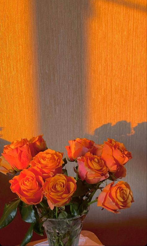 Orange Aesthetic Flowers, Coral Color Aesthetic, Orange Roses Aesthetic, Orange Flowers Aesthetic, Sam Core, Fleur Orange, Water Aesthetic, Vintage Flowers Wallpaper, Aesthetic Flowers