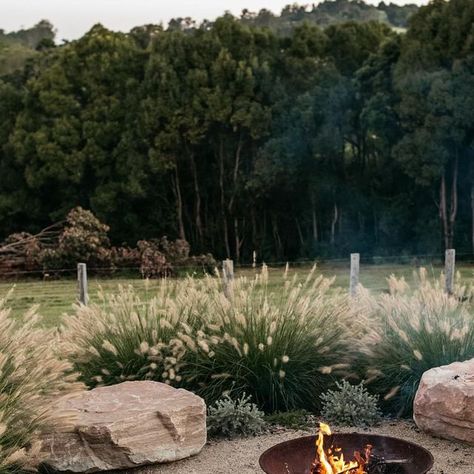 Grant James Boyle on Instagram: "The view from the pool @theplot_binnaburra I used recycled sleepers to separate the pool from the fire pit, Pennisetum nafray planted en mass and large sandstone boulders are used as informal seating." Sandstone Fire Pit, Pennisetum Nafray, Round Fire Pit Area, Boulder Fire Pit, Firepit Seating, Round Fire Pit, Fire Pit Seating, Fire Pit Area, Firepit