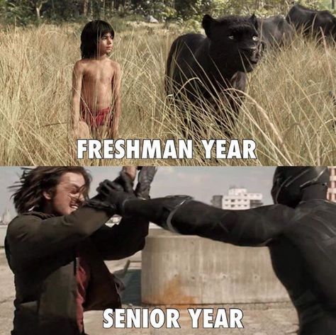 Super Senior, Bucky Barnes Winter Soldier, Marvel Funny, Marvel Fan, Marvel Memes, Avengers Assemble, Bucky Barnes, Winter Soldier, Senior Year