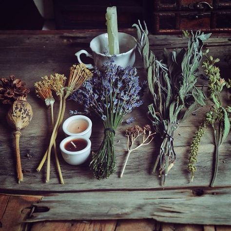 Herbal Amulets Logo Moodboard, Magia Das Ervas, Hedge Witch, Have Inspiration, Witch Aesthetic, Witchy Woman, Green Witch, Kitchen Witch, Witchy Vibes