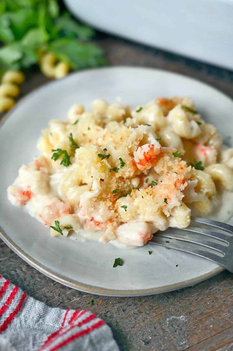 A serving of lobster mac and cheese on a white plate. White Cheddar Lobster Mac And Cheese, Mac And Cheese White Cheddar, Lobster Mac N Cheese, Lobster Mac N Cheese Recipe, Frozen Lobster, Lobster Mac, Lobster Mac And Cheese, Lobster Meat, White Cheddar Cheese