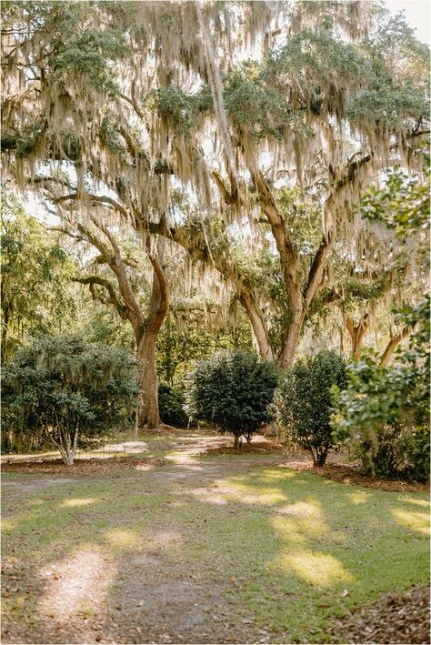 Marsh Wedding Ideas, Marsh Wedding, Savannah Ga Wedding, Ga Wedding Venues, Usa Summer, Old Oak Tree, Savannah Wedding, Vacation Club, Magical Wedding