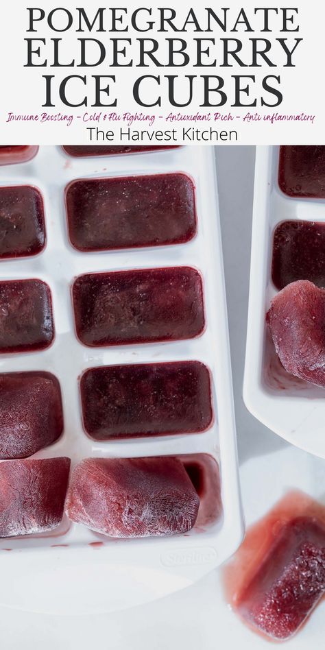 Add these Pomegranate Elderberry Ice Cubes to water, tea and smoothies as a great way to help boost your immune system and ward off the latest cold or flu bug going around. They’re made with dried black elderberry, fresh ginger, cinnamon, pomegranate juice and white grape juice. These flavored ice cubes are one of my favorite elderberry recipes to make. Pomegranate Juice Benefits, Grape Juice Benefits, Tea Cubes, Ice Cubes Recipe, Ice Cube Recipe, Fancy Ice Cubes, White Grape Juice, Elderberry Tea, Flavored Ice Cubes