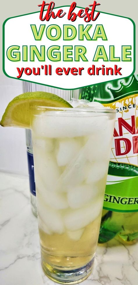 Ginger Ale And Vodka, Easy Drink Cocktails, Drinks With Ginger Ale Alcoholic, Good Mixed Alcoholic Drinks Vodka, Mixed Drinks With Ginger Ale, Drinks Made With Vodka Easy, Ginger Ale Alcohol Drinks, Gin And Vodka Cocktails, Refreshing Alcoholic Drinks Easy