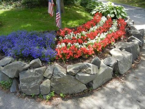 Stunning red, white & blue flowers. Flag Pole Landscaping, Patriotic Porch, Front Flower Beds, Patriotic Flowers, Course Ideas, Blue Bed, Flower Bed Designs, Planting Ideas, Outdoor Garden Decor