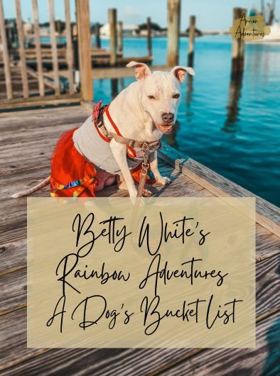 Dog Bucket List, Dog Trailer, Dog Died, Betty White, Meaning Of Love, Losing A Dog, White Rainbow, Old Dogs, Senior Dog