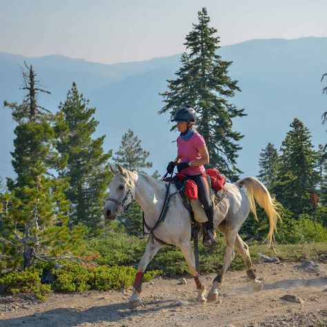 Find out how Claire Godwin, DVM, keeps her 27-year-old endurance horse PL Mercury in elite condition, from joint support to conditioning tactics. Horse Endurance Riding, Cute Horse Riding Outfits, Shagya Arabian, Endurance Horse, Performance Ideas, Trail Horse, Endurance Riding, Be Disciplined, Horse Art Drawing