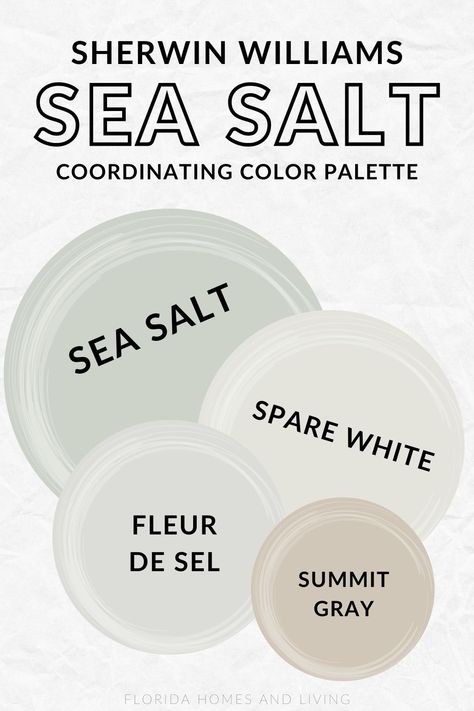 Sea Salt by Sherwin Williams: The Soothing Hue for Your Home Oasis Sea Salt In Bathroom, Sea Salt Living Room, Flyer De Sel Sherwin Williams, Colors To Pair With Sherwin Williams Sea Salt, Sw Sea Salt Bathroom, Sw 6204 Sea Salt, Wherein Williams Sea Salt Bathroom, Sea Salt Vs Copen Blue, Sea Salt Coordinating Colors