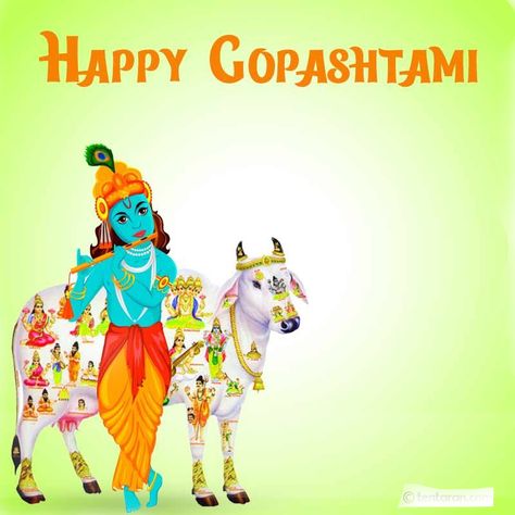 Gopashtami Wishes, Radhe Ashtami, Congratulations Wishes, Status Wallpaper, Wish Quotes, Wishes Quotes, Wishes Images, The Eighth Day, Wallpaper Free