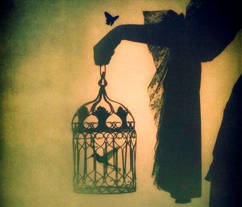 A Bird Born in a Cage Will Think Flying Is an Illness متحف فني, Art Noir, Foto Art, Bird Cages, Story Inspiration, Gothic Art, Pics Art, A Butterfly, Rumi