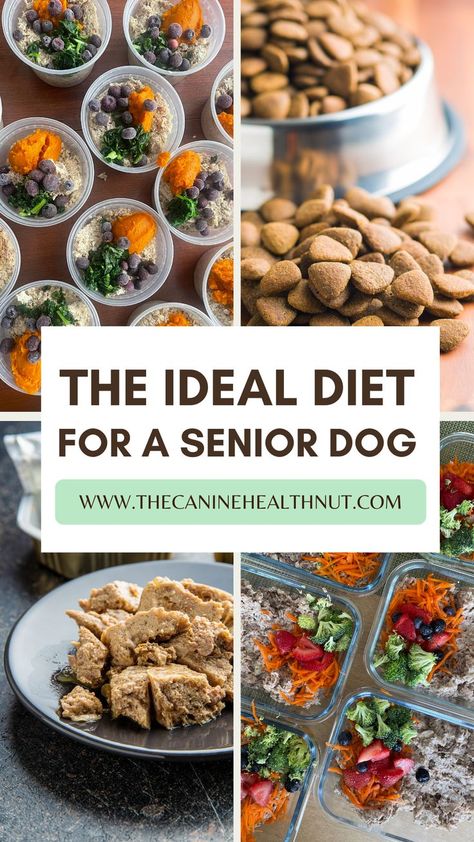 Dog Nutrition Homemade, Senior Dog Food, Healthy Dog Food, Senior Dog Food Recipes, Diy Dog Food, Make Dog Food, Raw Dog Food Recipes, Raw Diet, Dog Nutrition