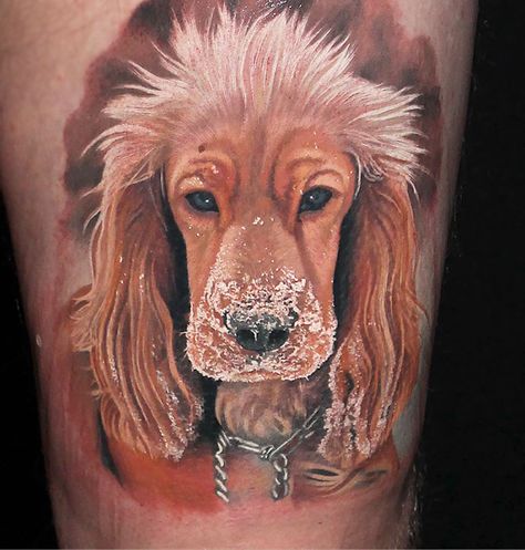 Spaniel Tattoo, Tattoo Perro, Golden Retriever Tattoo, Tattoo Fixers, Dog Tattoo Ideas, Dachshund Tattoo, Tier Tattoo, Tattoos For Dog Lovers, Tattoo Dog