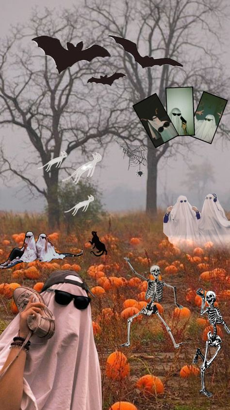 yooo dont forget to come on down to the pumpkin patch partyyyyy #halloween #halloweeninspo #halloweencollage #pumpkinpatch #pumpkins #ghosts #ghostaesthetic #autumn #autumnaesthetic Ghost In Pumpkin Patch, Ghost In Pumpkin, Halloween Inspo, Autumn Aesthetic, A Pumpkin, Pumpkin Patch, Your Aesthetic, Halloween Pumpkins, Pumpkins