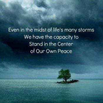 Solve 4 ~ "Even in the midst of life's many storms, we have..." jigsaw puzzle online with 16 pieces Artistic Poetry, Transcendental Meditation, A Quote, Inspirational Quote, Inner Peace, Great Quotes, Thought Provoking, A Tree, Yoga Fitness