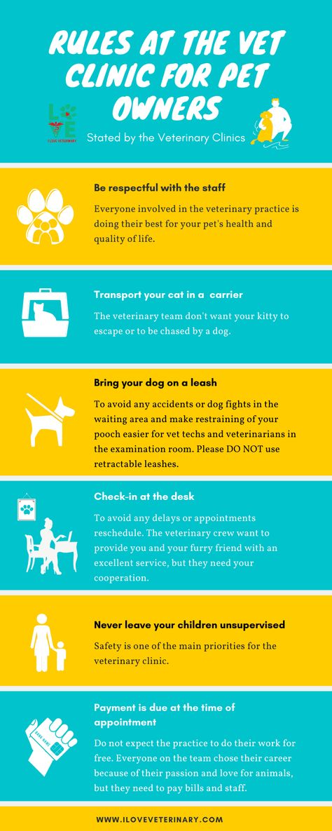 Veterinary Clinic Ideas Design, Veterinary Marketing Ideas, Veterinary Clinic Ideas, Vet Clinic Ideas, Vet Clinic Design, Practice Manager, Dog Boarding Ideas, Vet Receptionist, Vet Humor