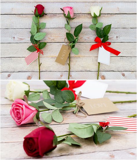 Individual Rose Wrapping, Single Rose Gift, Creative Valentines Day Ideas, Diy Graduation Gifts, Diy Graduation, Church Gifts, Florist Supplies, One Rose, Creative Valentines