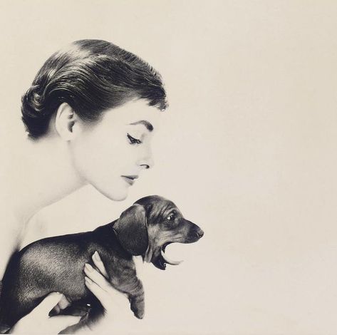 Audrey Hepburn’s Dachshund named, “Guapa” Cool Pet Names, Hepburn Audrey, Weenie Dogs, In Sign, Dachshund Lovers, Dachshund Puppy, Dachshund Love, Wiener Dog, Dachshund Dog