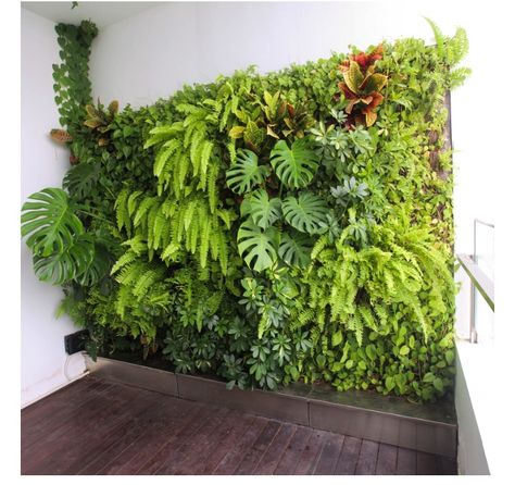 Wall Garden Ideas, Green Wall Garden, Vertikal Garden, Fern Wall, Vertical Garden Plants, Balinese Garden, Garden Wall Designs, Indoor Plant Wall, Vertical Garden Design