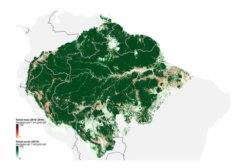 These 7 maps shed light on most crucial areas of Amazon rainforest Amazon Rainforest Map, Rainforest Map, Amazon Forest, Nature Photography Tips, Remote Sensing, Lightning Storm, Shed Light, Indigenous Community, Exotic Places