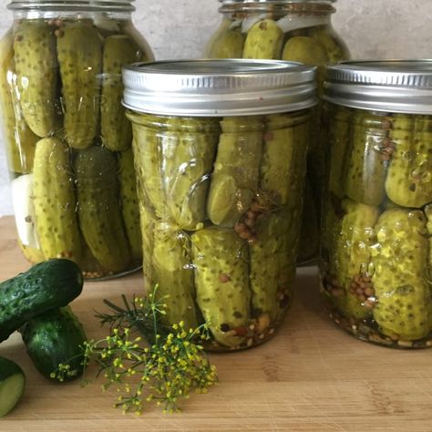 Russian Dill Pickle Recipe, Dill Pickle Recipe, Pickling Salt, Pickle Recipe, Pickling Spice, Canned Vegetables, Dill Pickles, Pickling Cucumbers, Sauce Pot