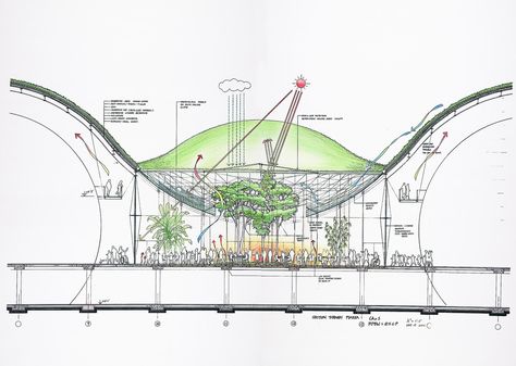 Gallery of California Academy of Sciences / Renzo Piano Building Workshop - 45 Renzo Piano Sketch, Green Roof Project, Underground Building, Building Workshop, Roof Work, Conceptual Sketches, California Academy Of Sciences, Open Architecture, Living Roofs