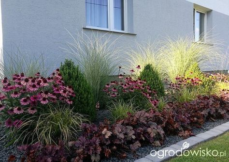 Landscape Ideas Front Yard Curb Appeal, Funny Vine, Backyard Garden Layout, Landscape Design Plans, Have Inspiration, Garden Care, Garden Layout, Small Gardens, Shade Garden