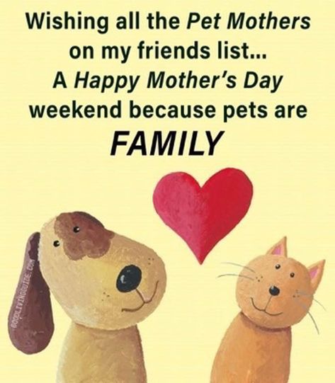 Fur Baby Mothers Day, Birthday Sleepover Ideas, Dog Lover Quotes, Happy Mother Day Quotes, Mothers Day Weekend, Birthday Wishes Funny, Holiday Images, Pet Mom, Dad Day