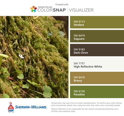 Colors | Combos | Palettes | Color Snap App | Sherwin-Williams | Verdant | Saguaro Green | Dark Clove | High Reflective White | Brassy Brown | Paradise Sherwin Williams Saguaro, Saguaro Green Sherwin Williams, Saguaro Sherwin Williams, Green Sherwin Williams, High Reflective White, Snap App, Mcm Living, Sherwin Williams Color Palette, Palettes Color