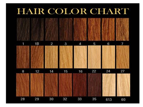 We supply heaps of different colours and styles!! Hair Color Number Chart, Redken Hair Color Chart, Natural Hair Color Chart, Hair Color Braids, Red Hair Color Chart, Dark Chocolate Hair Color, Blonde Hair Color Chart, Honey Brown Hair Color, Brown Hair Color Chart