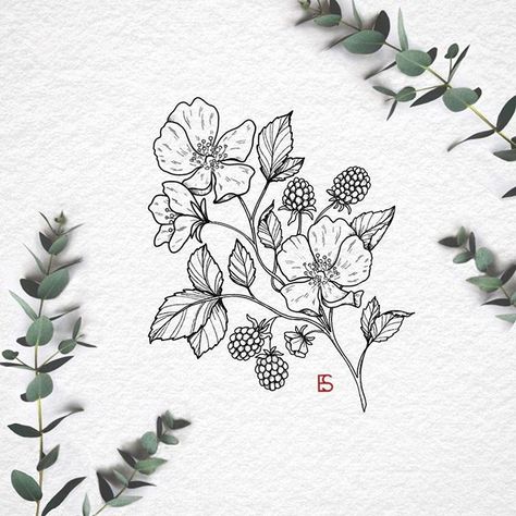 Blackberry Flower, Blackberry Plant, Blackberry Tattoo, Wildflower Drawing, Wildflower Tattoo, Floral Tattoo Sleeve, Botanical Tattoo, Simplistic Tattoos, Botanical Drawings