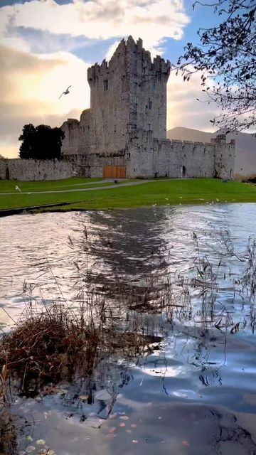 Eileen 〰 on Instagram: "Ross Castle, Killarney, built in the 15th century by Irish Chieftain O’Donoghue Mor. It is situated on the edge of beautiful Lough Leane. If you are planning a visit to Killarney, be sure to include this castle.🏰✨ #rosscastle #killarney #ireland #kerry #discoverearth #earthfocus #castlesoftheworld theworld #visitireland #tourismireland #earthpix #besutifuldestinations #wonderful_places" Ireland Kerry, Seeing 444, Ross Castle, Killarney Ireland, Visit Ireland, Killarney, Castle Ruins, 15th Century, On The Edge