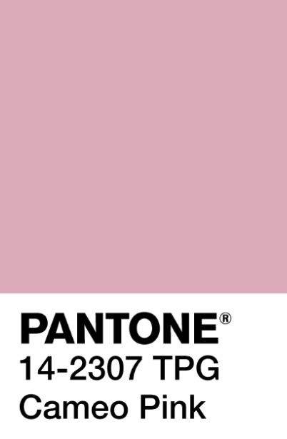 Pink Pantone, Pink Salem, Material Board, Pink Palette, Very Berry, Photo Edits, Packaging Designs, Pink Paint, Custom Packaging