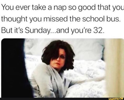 Nap Quotes Funny, Nap Quotes, Naps Funny, Funny Car Memes, Sarcasm Only, Calm Quotes, Believe Quotes, Sport Quotes, Take A Nap