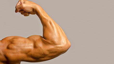 Tip: A Smarter Way to Blast Your Biceps Arm Anatomy, Strength Training Routine, Push Up Workout, Human Body Anatomy, Muscle Anatomy, Biceps And Triceps, Anatomy Study, Upper Body Strength, Body Anatomy