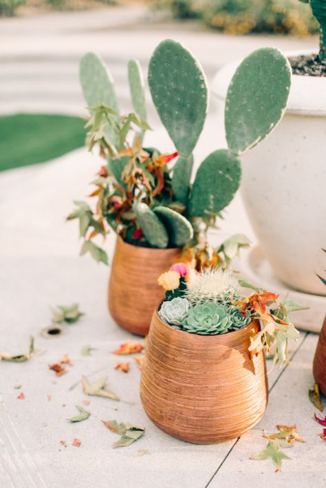 Succulent Centerpiece Wedding, Succulent Wedding Centerpieces, Southwestern Wedding, Succulent Centerpiece, Cactus Wedding, Modern Desert, Succulent Centerpieces, Centerpiece Wedding, Boda Mexicana