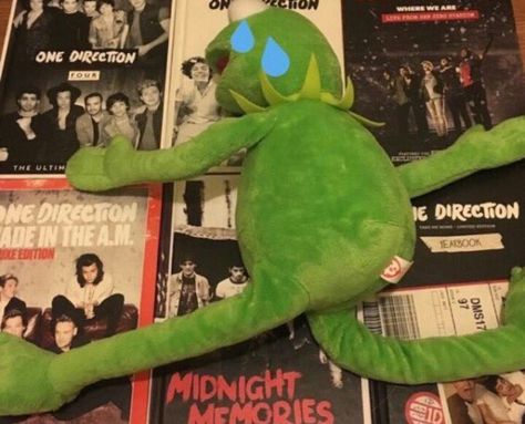 Four One Direction, Kermit Funny, Midnight Memories, One Direction Humor, Kermit The Frog, One Direction Memes, One Direction Pictures, 1 Direction, Larry Stylinson