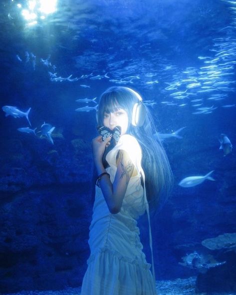 blueinuna on ig Aquarium Photos, Aquarium Pictures, Human Poses Reference, Poses References, Cinematic Photography, Pose Reference Photo, Art Poses, 인물 사진, Aesthetic Images