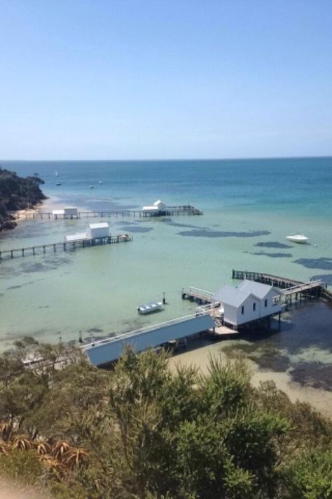 Sorrento Australia, Sorrento Victoria, Shell Paintings, Sea Scapes, Mornington Peninsula, Painted Shells, Scallop Shell, Victoria Australia, Crystal Clear Water