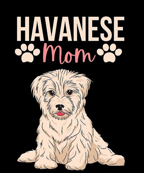 Looking for the perfect Havanese Mom gift? This design features a watercolor art and drawing of a cute Havanese dog with the text Havanese Mom. Ideal gift or birthday present for moms and mothers who love their Havanese Dogs. Havanese Dogs Drawings, Types Of Puppies, Art And Drawing, Cute Dog Drawing, Havanese Dog, Vintage Retro Art, Birthday Presents For Mom, Havanese Puppies, Havanese Dogs