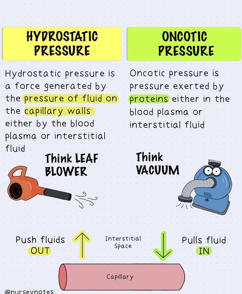 Nclex Motivation, Hydrostatic Pressure, Pathophysiology Nursing, Nursing School Studying Cheat Sheets, Med Notes, Nursing School Inspiration, Paramedic School, Medical Notes, Nursing School Essential