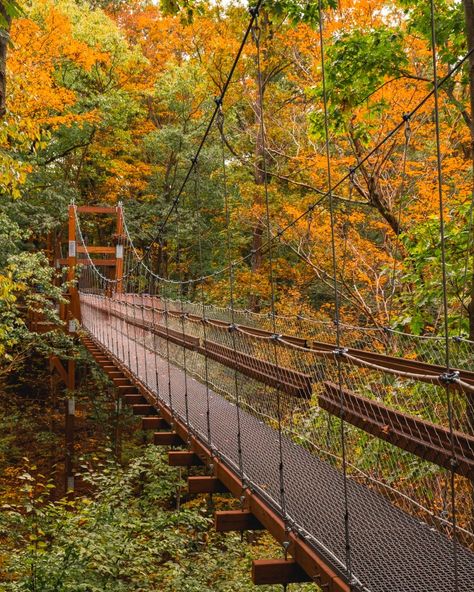 10 Best Fall Hikes Near Cleveland ⋆ Ohio Hiking, Fall Scenes, Brandywine Falls, Fall Hikes, Cleveland Metroparks, Ohio Travel, Rocky River, Scenic Railroads, Small Waterfall