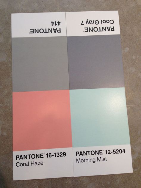 Coral Bathroom Decor, Coral Bathroom, Coral Bedroom, Aqua Paint, Gray Bathroom Decor, Coral Decor, Bedroom Colour Palette, Grey And Coral, Grey Bedroom