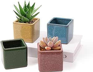 Dashare 3.5 Inch Ceramic Succulent Planter Pot, Ice Crack Glaze Handicraft Square Porcelain Planter with Drainage Set of 4, Cube Flower Cactus Planter for Home Garden Office Decoration Flower Cactus, Ceramic Succulent Planter, Porcelain Planter, Ceramic Succulent, Cactus Planter, Big Plants, Garden Office, Office Decoration, Flower Planters