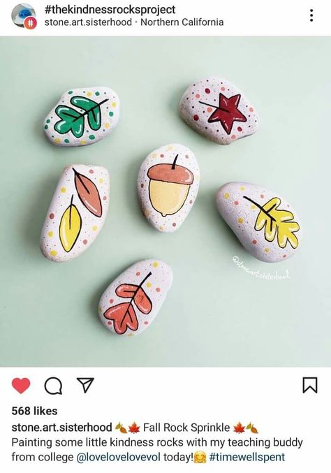 Acorn Painted, Acorn Painting, Fall Rock, Kindness Rocks, Rock Painting Designs, Painting Designs, A Rock, Guitar Pick, Rock Painting