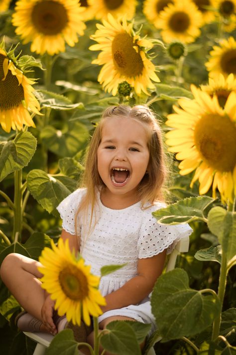 Sunflower Kids Photoshoot, Sunflower Field Photoshoot Kids, Flower Field Photoshoot Kids, Toddler Sunflower Photoshoot, Sunflower Photo Ideas, Sunflower Picking, Sunflower Shoot, Sunflower Mini Session, Sunflower Field Photoshoot