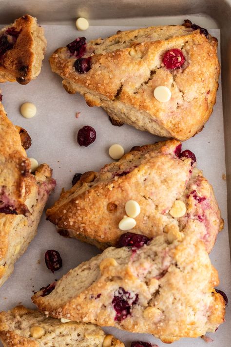 A batch of golden scones with cranberries and white chocolate baked inside. Cranberry White Chocolate Scones, Dessert Scones, Cranberry Treats, White Chocolate Scones, Basic Scones, Baking Scones, Cranberry White Chocolate, Cranberry Bliss Bars, Cranberry Scones