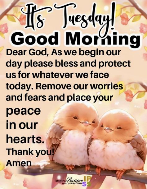 Tuesday Morning Prayers, Tuesday Prayer, Blessed Tuesday, Daily Bible Devotions, Good Morning Tuesday Images, Happy Tuesday Morning, Tuesday Quotes Good Morning, Tuesday Blessings, Sunday Morning Quotes