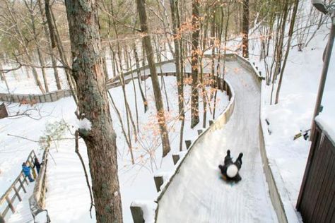 7 Hotspots for a Michigan Winter Adventure | Midwest Living Michigan Winter, Michigan Adventures, Michigan Road Trip, Michigan Vacations, Cold Weather Activities, Midwest Living, Michigan Travel, State Of Michigan, Winter Adventure