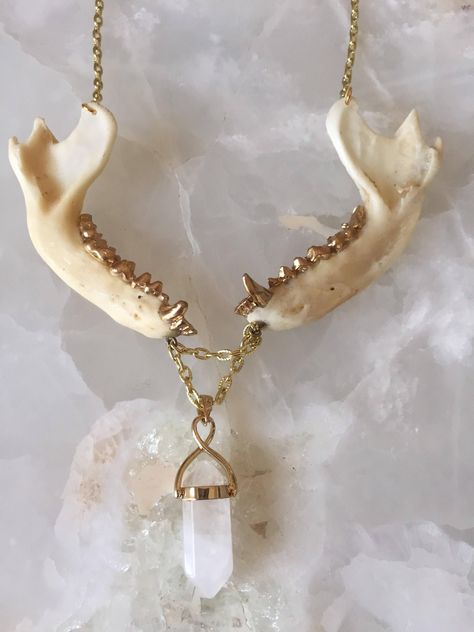 Two real raccoon jaws hang side by side from gold chain with gilded gold teeth above a large crystal Pendant Fae Crafts, Oddity Jewelry, Outfit Building, Oddities Decor, Gold Tooth, Skull Crafts, Magic Crafts, Bone Crafts, Gold Teeth